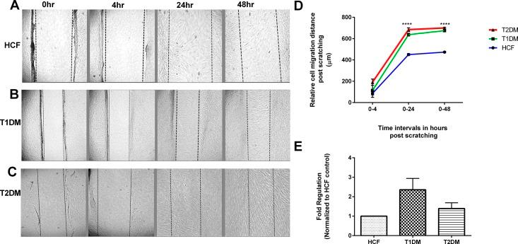 https://cdn.ncbi.nlm.nih.gov/pmc/blobs/a242/5179241/633316a395a1/pone.0168845.g002.jpg