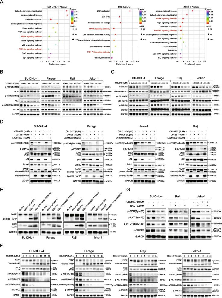 https://cdn.ncbi.nlm.nih.gov/pmc/blobs/a242/9869543/4dc1851dc611/12964_2022_1031_Fig4_HTML.jpg