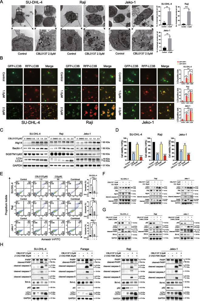https://cdn.ncbi.nlm.nih.gov/pmc/blobs/a242/9869543/54ef782541e9/12964_2022_1031_Fig2_HTML.jpg