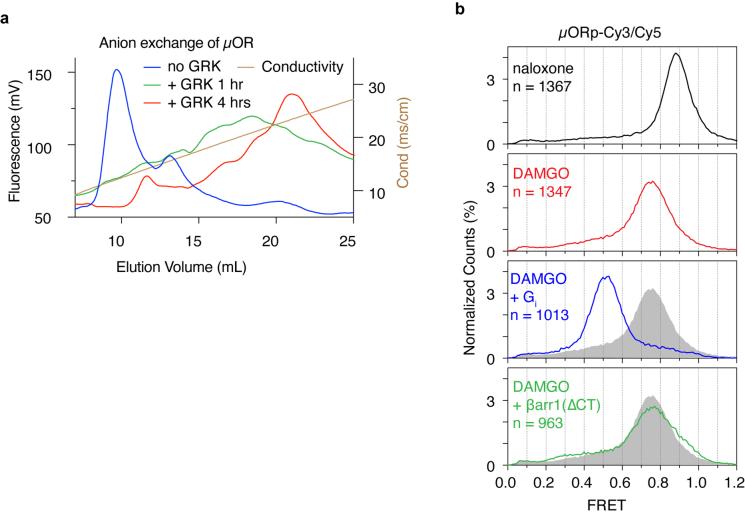 https://cdn.ncbi.nlm.nih.gov/pmc/blobs/a243/11078757/8308d8882f01/41586_2024_7295_Fig16_ESM.jpg