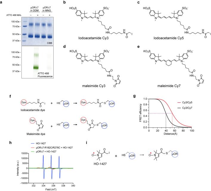 https://cdn.ncbi.nlm.nih.gov/pmc/blobs/a243/11078757/b9cc93c34dcb/41586_2024_7295_Fig7_ESM.jpg