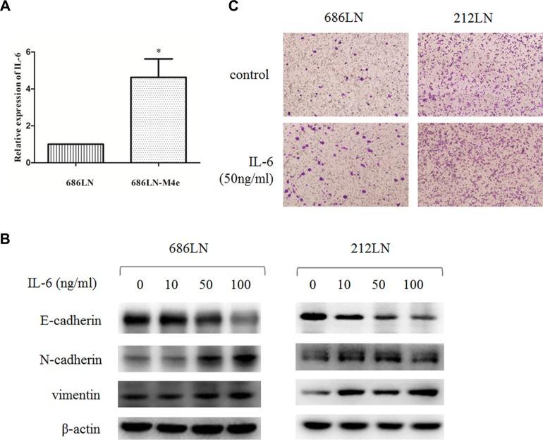 https://cdn.ncbi.nlm.nih.gov/pmc/blobs/a243/5095019/25d94ad1b56f/oncotarget-07-36539-g001.jpg