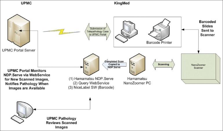 https://cdn.ncbi.nlm.nih.gov/pmc/blobs/a248/3551511/66739d706ed8/JPI-3-45-g009.jpg