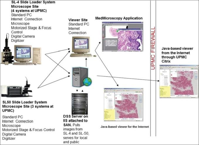 https://cdn.ncbi.nlm.nih.gov/pmc/blobs/a248/3551511/aea8bef33f55/JPI-3-45-g006.jpg