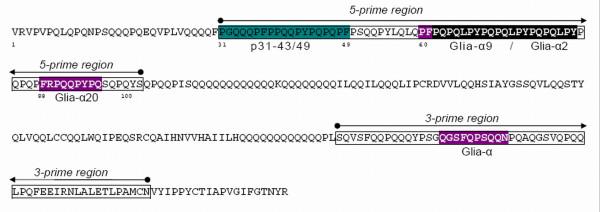 https://cdn.ncbi.nlm.nih.gov/pmc/blobs/a249/2636828/ccfaa114f8dc/1471-2164-10-48-1.jpg