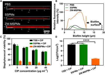 https://cdn.ncbi.nlm.nih.gov/pmc/blobs/a249/7428326/e9e665a015f7/abb1112-F5.jpg