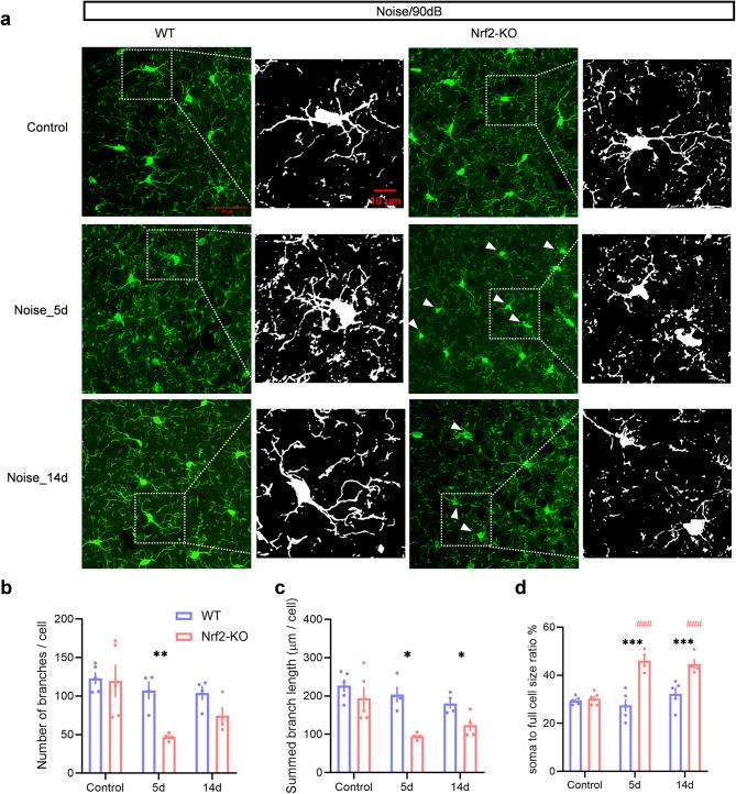 https://cdn.ncbi.nlm.nih.gov/pmc/blobs/a24a/12069615/dfa3547104e1/41598_2025_1509_Fig6_HTML.jpg