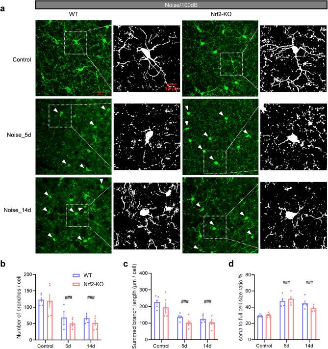 https://cdn.ncbi.nlm.nih.gov/pmc/blobs/a24a/12069615/f7b3ac02e0b8/41598_2025_1509_Fig7_HTML.jpg