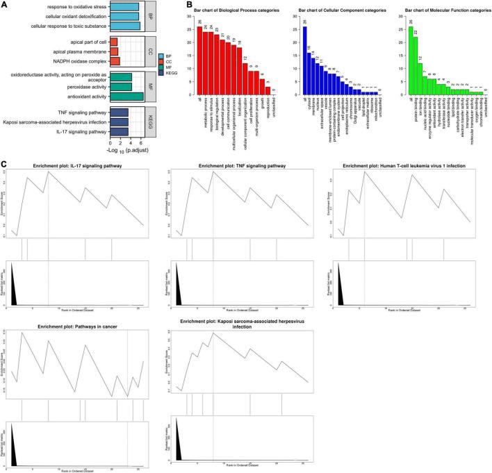 https://cdn.ncbi.nlm.nih.gov/pmc/blobs/a24c/9279674/e709e651d25b/fcvm-09-906753-g002.jpg