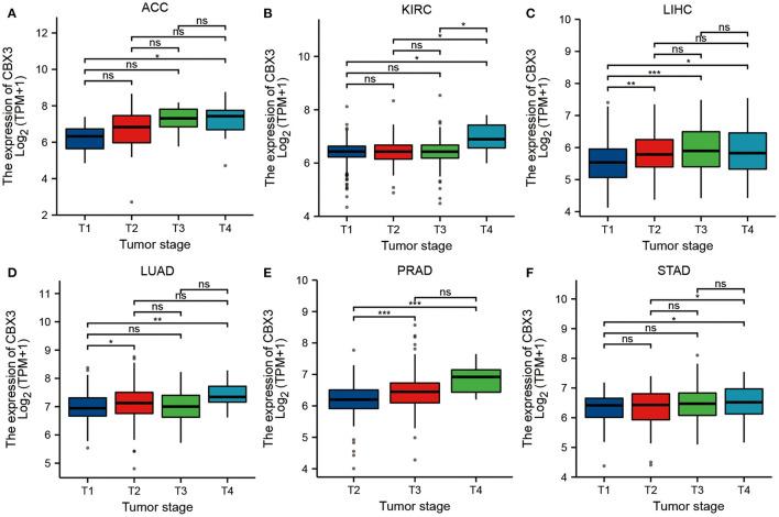 https://cdn.ncbi.nlm.nih.gov/pmc/blobs/a24d/9096250/1411858a1fe2/fmed-09-869994-g0006.jpg
