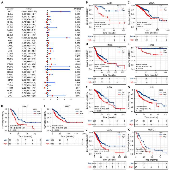 https://cdn.ncbi.nlm.nih.gov/pmc/blobs/a24d/9096250/fc3bf0f797f0/fmed-09-869994-g0004.jpg