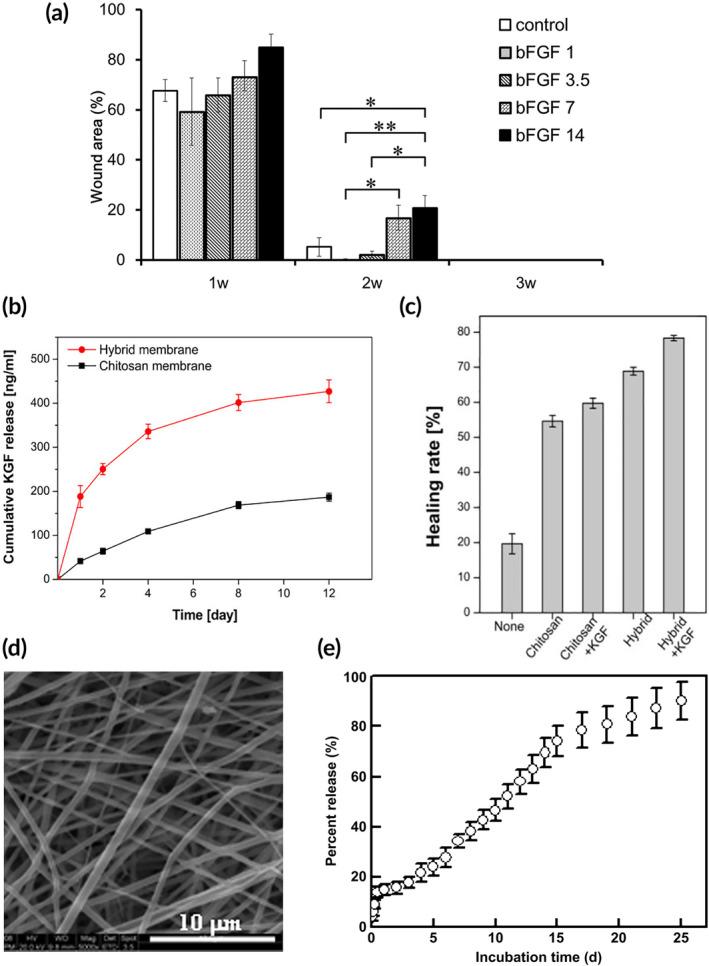 https://cdn.ncbi.nlm.nih.gov/pmc/blobs/a24e/11135157/dbed15373f00/BTM2-9-e10642-g003.jpg