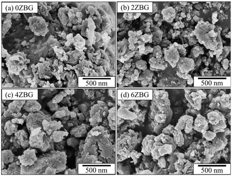 https://cdn.ncbi.nlm.nih.gov/pmc/blobs/a24f/11478473/96dc94761d85/polymers-16-02811-g002.jpg