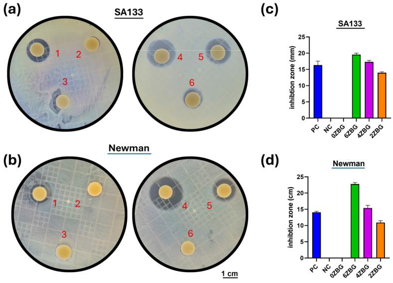 https://cdn.ncbi.nlm.nih.gov/pmc/blobs/a24f/11478473/e67ae26201c7/polymers-16-02811-g013.jpg