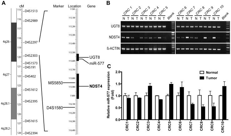 https://cdn.ncbi.nlm.nih.gov/pmc/blobs/a24f/3692540/4ce11626d1f9/pone.0067040.g001.jpg