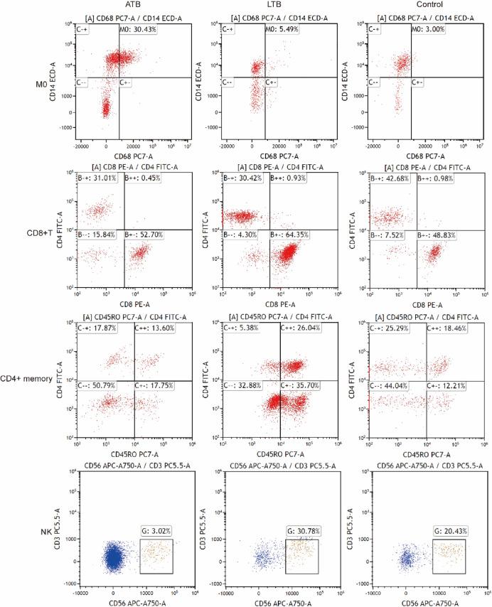https://cdn.ncbi.nlm.nih.gov/pmc/blobs/a253/12041371/8d6efcd5f1a8/41598_2025_98152_Fig6_HTML.jpg