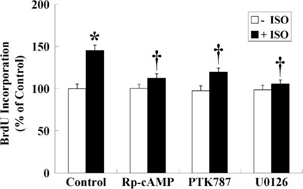 https://cdn.ncbi.nlm.nih.gov/pmc/blobs/a253/3573992/1ef128d97eb8/1747-1028-8-1-5.jpg
