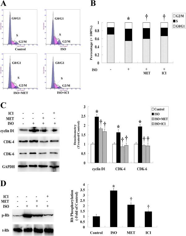 https://cdn.ncbi.nlm.nih.gov/pmc/blobs/a253/3573992/33f5b236106b/1747-1028-8-1-3.jpg