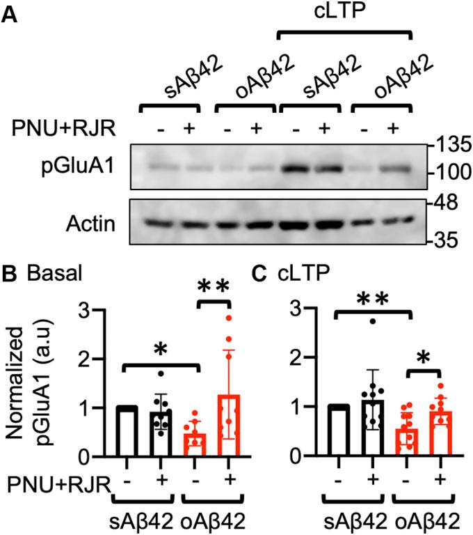 https://cdn.ncbi.nlm.nih.gov/pmc/blobs/a253/7961090/b7ebe8ab2992/gr4.jpg