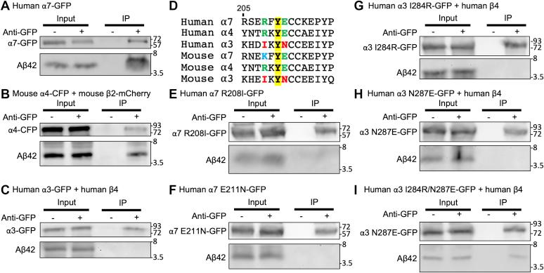 https://cdn.ncbi.nlm.nih.gov/pmc/blobs/a253/7961090/d1261dd2a039/gr2.jpg