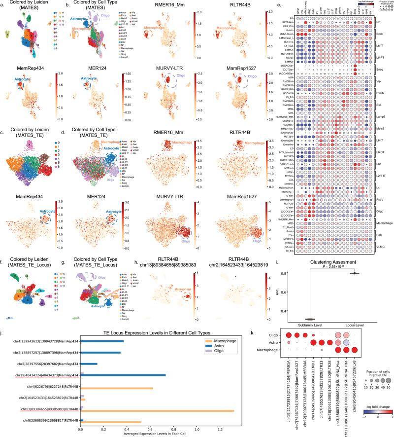 https://cdn.ncbi.nlm.nih.gov/pmc/blobs/a254/11470080/27a4ae05583c/41467_2024_53114_Fig4_HTML.jpg