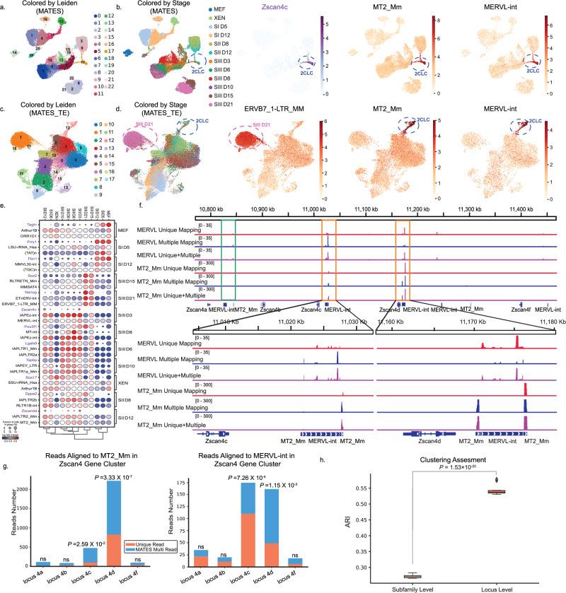 https://cdn.ncbi.nlm.nih.gov/pmc/blobs/a254/11470080/6a93f9ca3962/41467_2024_53114_Fig2_HTML.jpg