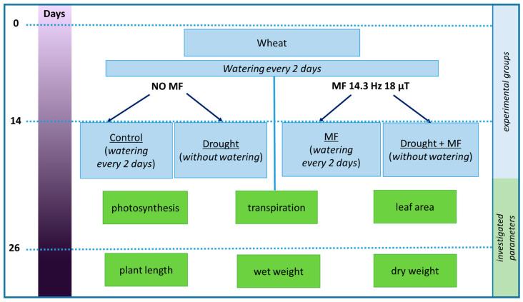 https://cdn.ncbi.nlm.nih.gov/pmc/blobs/a254/9963552/e6770d66c969/plants-12-00826-g007.jpg