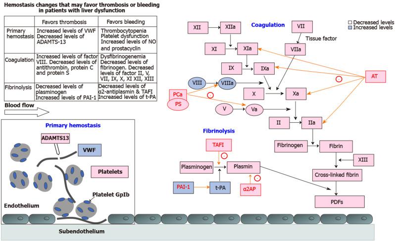 https://cdn.ncbi.nlm.nih.gov/pmc/blobs/a25c/8611202/9aa8f25afba2/WJG-27-7285-g001.jpg