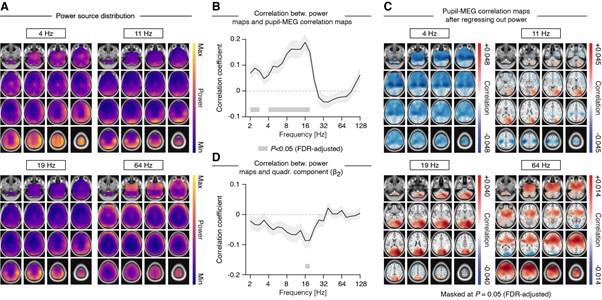 https://cdn.ncbi.nlm.nih.gov/pmc/blobs/a25d/8853659/17a6cb3d1119/elife-71890-sa2-fig4.jpg