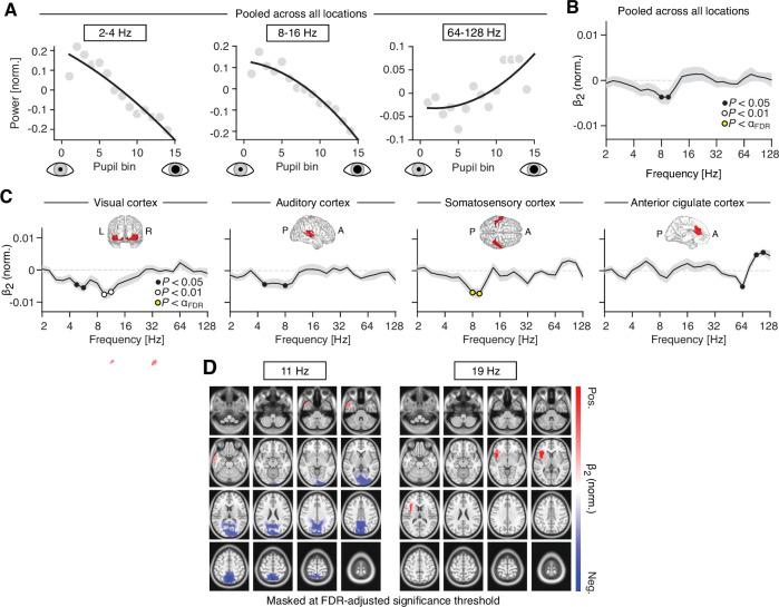 https://cdn.ncbi.nlm.nih.gov/pmc/blobs/a25d/8853659/8a13ba20b6e3/elife-71890-fig5-figsupp1.jpg