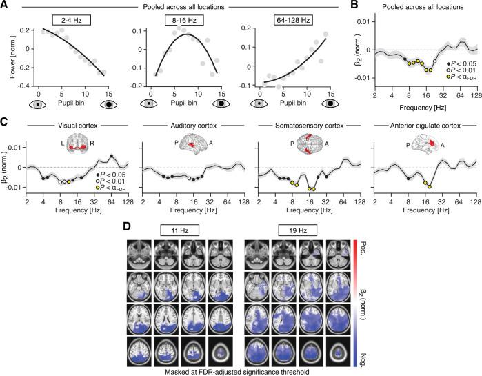 https://cdn.ncbi.nlm.nih.gov/pmc/blobs/a25d/8853659/b87b240321bd/elife-71890-fig5.jpg