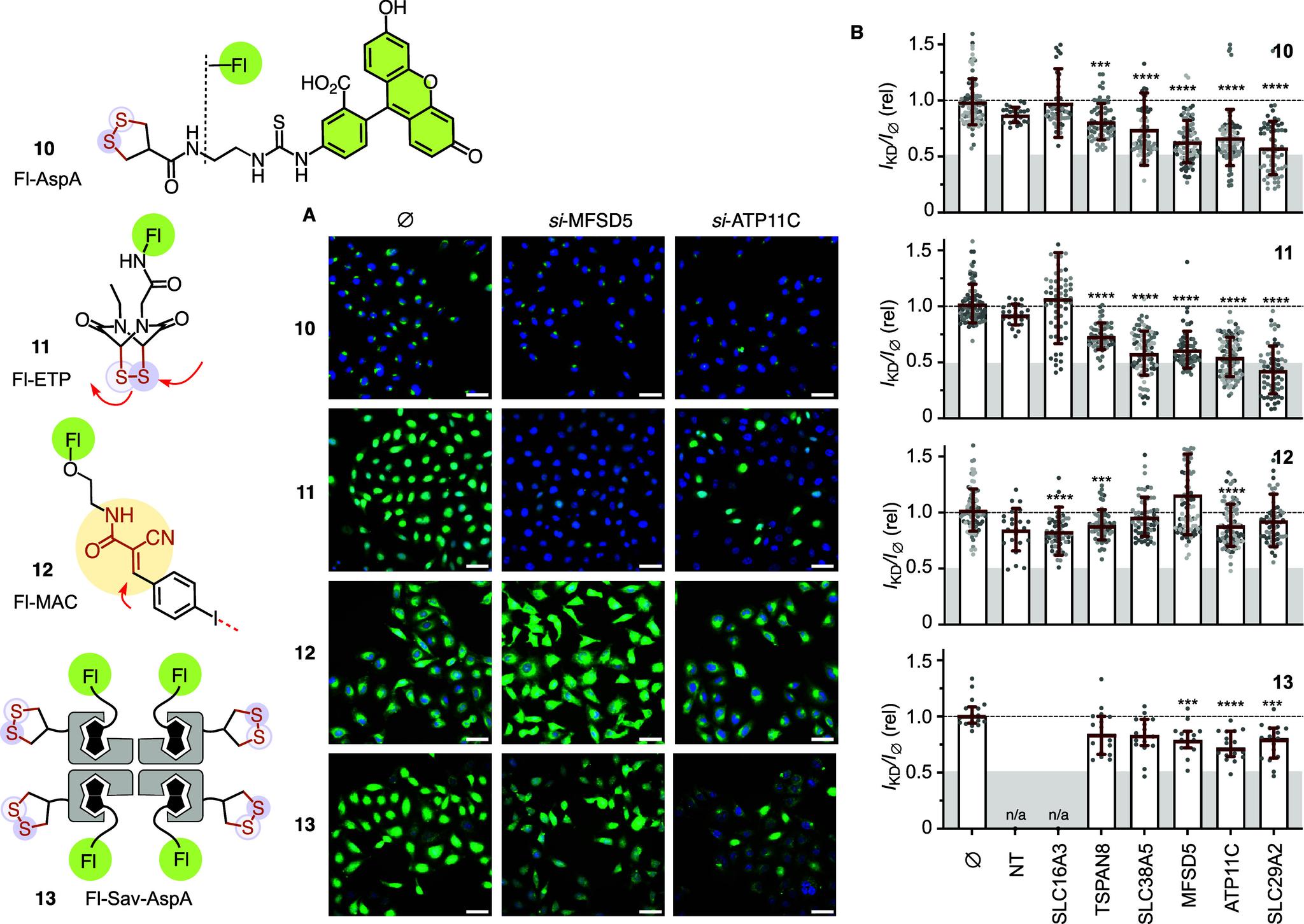 https://cdn.ncbi.nlm.nih.gov/pmc/blobs/a25e/12308380/221a02166993/au5c00432_0004.jpg