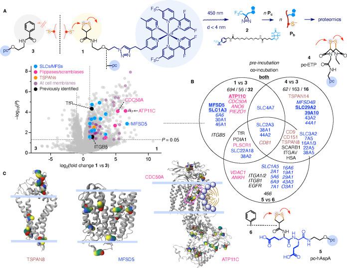 https://cdn.ncbi.nlm.nih.gov/pmc/blobs/a25e/12308380/8f7455fc5e57/au5c00432_0002.jpg