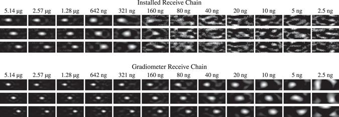 https://cdn.ncbi.nlm.nih.gov/pmc/blobs/a260/5537232/c3940a822f64/41598_2017_6992_Fig6_HTML.jpg