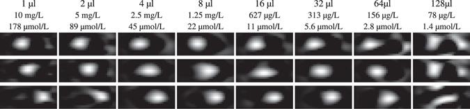 https://cdn.ncbi.nlm.nih.gov/pmc/blobs/a260/5537232/cdff4f75b075/41598_2017_6992_Fig7_HTML.jpg