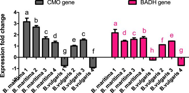 https://cdn.ncbi.nlm.nih.gov/pmc/blobs/a262/12403458/674a81d3bf79/12870_2025_7010_Fig5_HTML.jpg