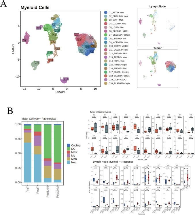 https://cdn.ncbi.nlm.nih.gov/pmc/blobs/a268/11923342/931d37cec229/262_2025_4014_Fig4_HTML.jpg