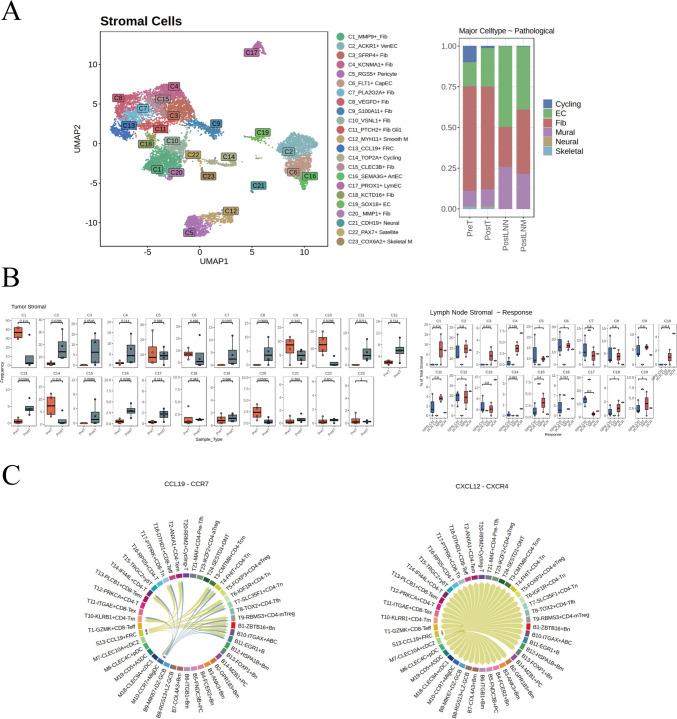 https://cdn.ncbi.nlm.nih.gov/pmc/blobs/a268/11923342/d5efcd9d2287/262_2025_4014_Fig5_HTML.jpg