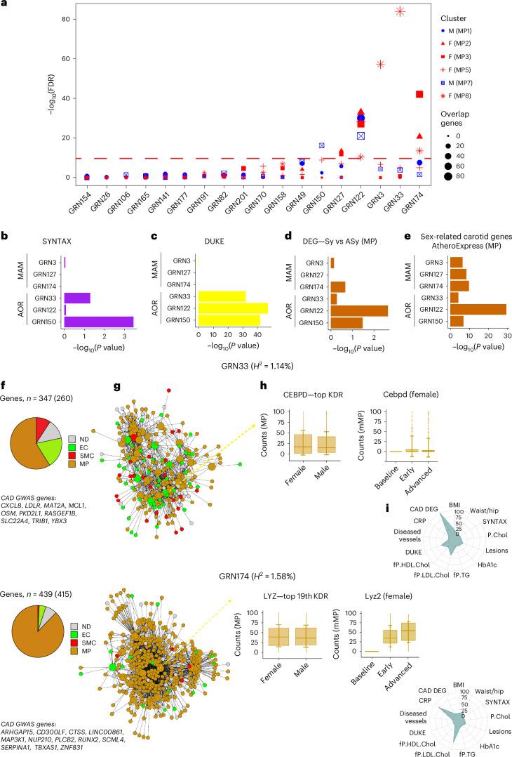 https://cdn.ncbi.nlm.nih.gov/pmc/blobs/a26a/11994450/0a7229244446/44161_2025_628_Fig6_HTML.jpg