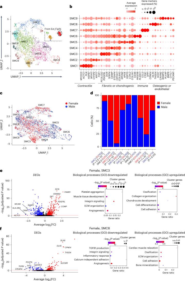 https://cdn.ncbi.nlm.nih.gov/pmc/blobs/a26a/11994450/1d5545d7447c/44161_2025_628_Fig2_HTML.jpg