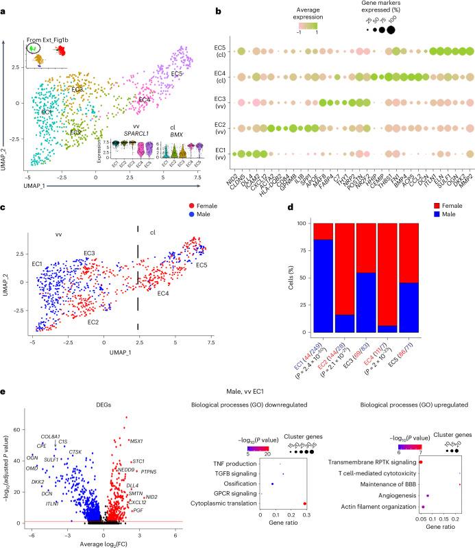 https://cdn.ncbi.nlm.nih.gov/pmc/blobs/a26a/11994450/3f879e8ee69b/44161_2025_628_Fig4_HTML.jpg