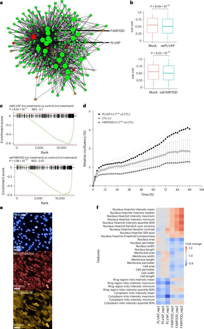 https://cdn.ncbi.nlm.nih.gov/pmc/blobs/a26a/11994450/4e8677f87a13/44161_2025_628_Fig8_HTML.jpg