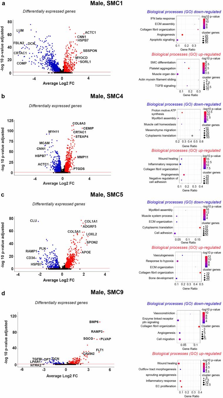 https://cdn.ncbi.nlm.nih.gov/pmc/blobs/a26a/11994450/8786a51b1823/44161_2025_628_Fig10_ESM.jpg