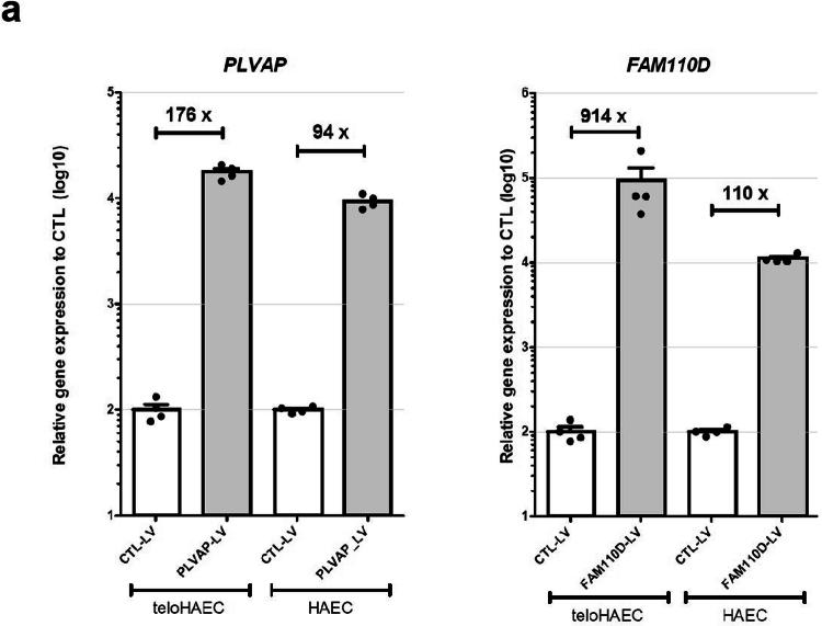 https://cdn.ncbi.nlm.nih.gov/pmc/blobs/a26a/11994450/9396fb50a6a0/44161_2025_628_Fig15_ESM.jpg