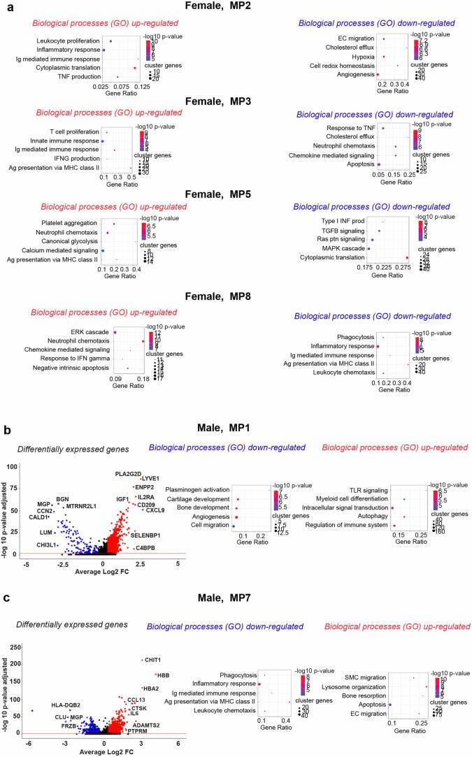 https://cdn.ncbi.nlm.nih.gov/pmc/blobs/a26a/11994450/e9cfbec436f9/44161_2025_628_Fig11_ESM.jpg