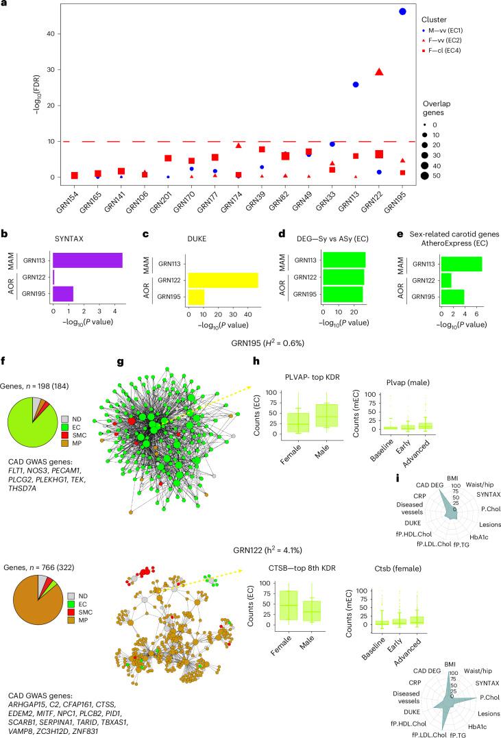https://cdn.ncbi.nlm.nih.gov/pmc/blobs/a26a/11994450/f7c4bc3f7cb1/44161_2025_628_Fig7_HTML.jpg