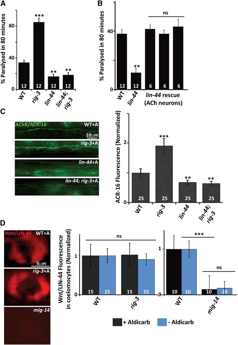 https://cdn.ncbi.nlm.nih.gov/pmc/blobs/a26a/5500148/ad962e468021/1521fig4.jpg
