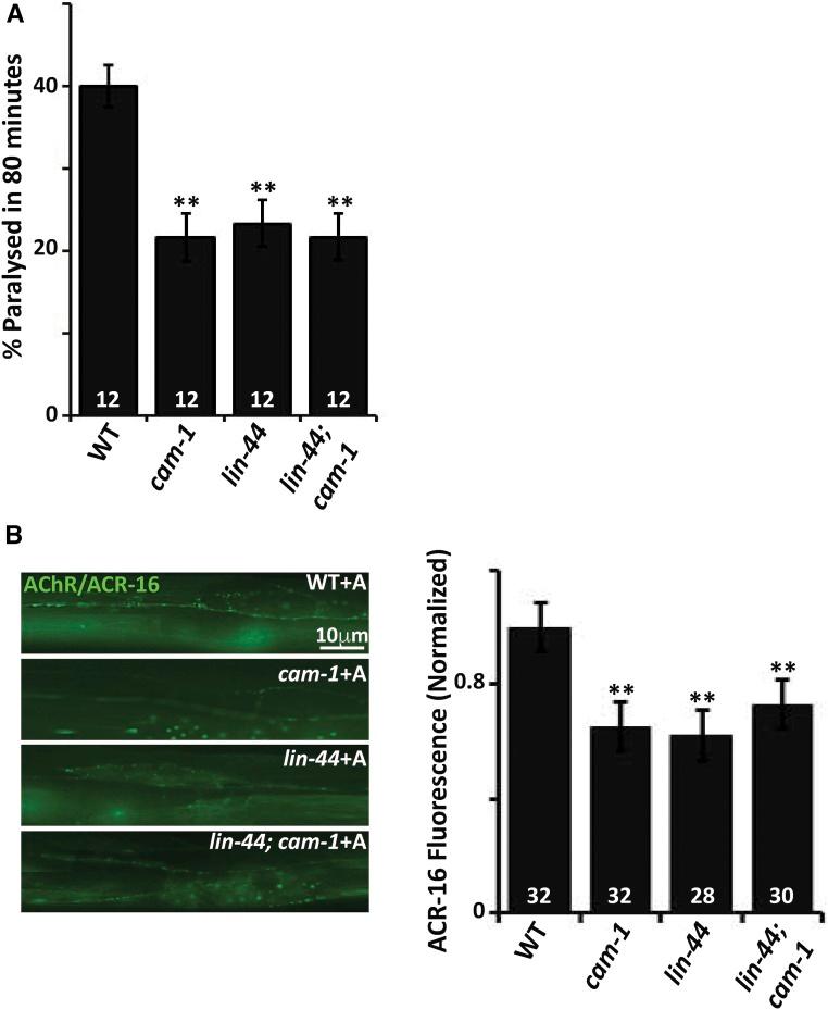 https://cdn.ncbi.nlm.nih.gov/pmc/blobs/a26a/5500148/eedc11cfae80/1521fig5.jpg