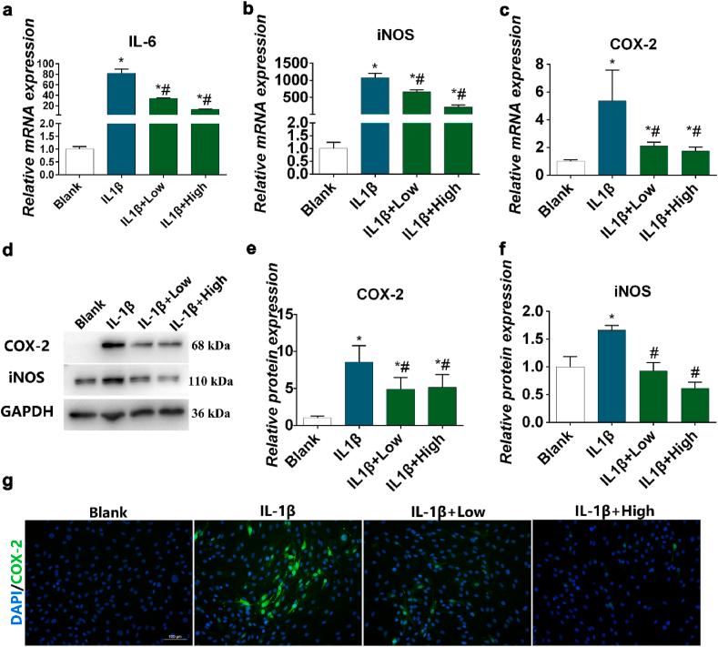 https://cdn.ncbi.nlm.nih.gov/pmc/blobs/a26a/7848724/06b2f3996433/gr4.jpg