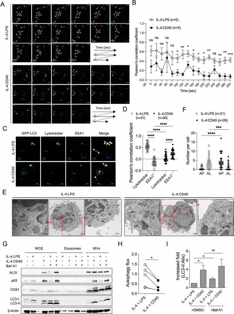 https://cdn.ncbi.nlm.nih.gov/pmc/blobs/a26b/12039400/4cfda95b41a1/KAUO_A_2179287_F0003_OC.jpg